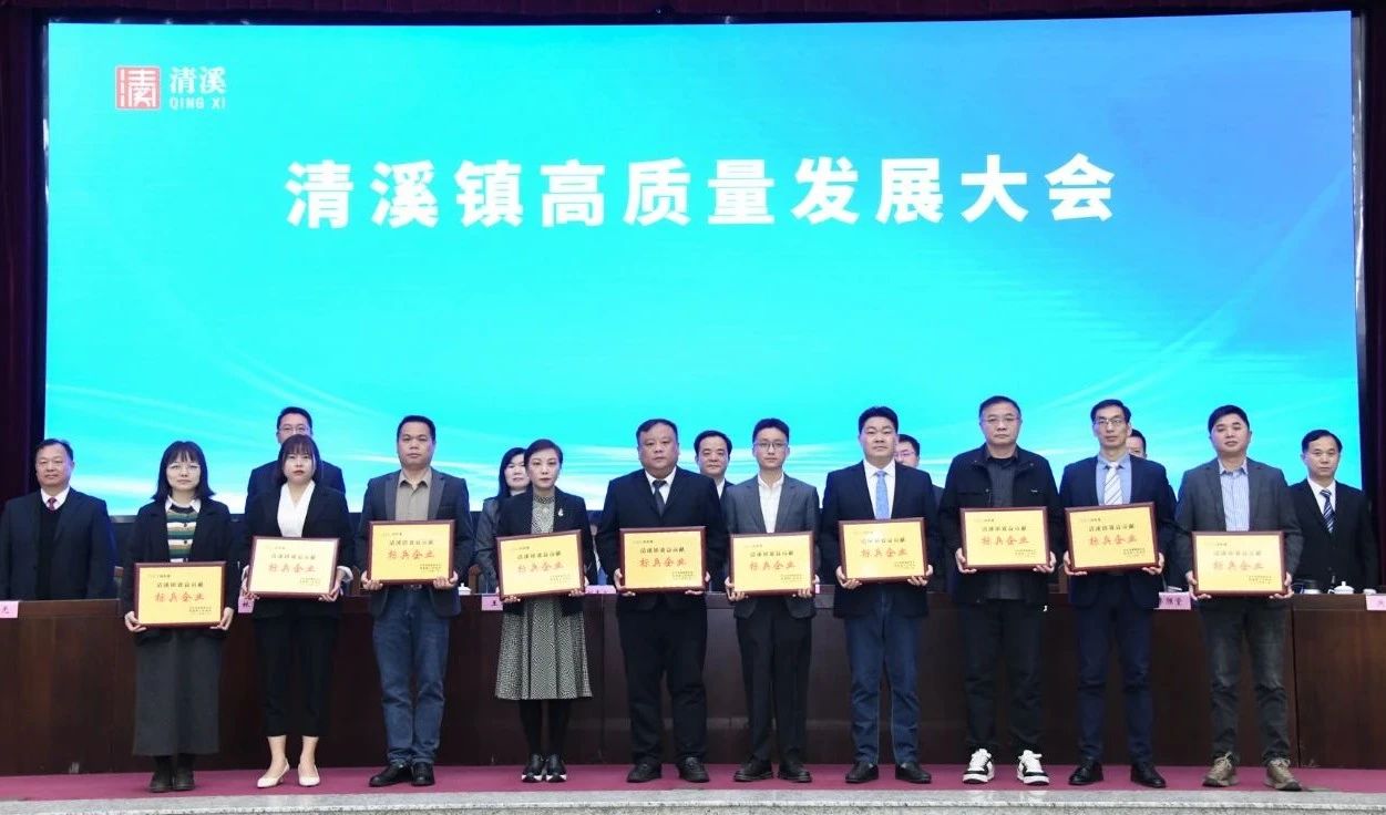喜讯：澳门网址科技荣获2024年度“清溪镇主营业务收入及效益贡献标兵企业”