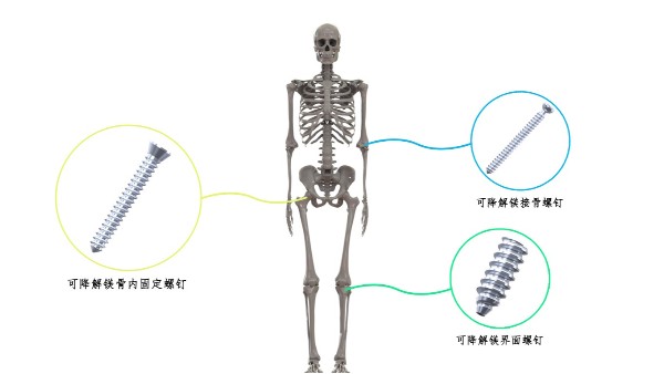 喜讯：澳门网址科技荣获2024中华医学科技奖
